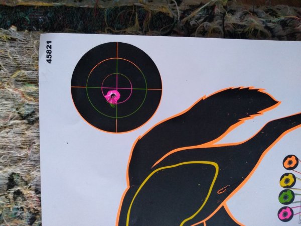 IMG_20201108_164359879.jpg