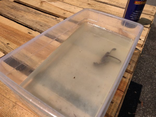 2020-07-08 12.19.05.jpg