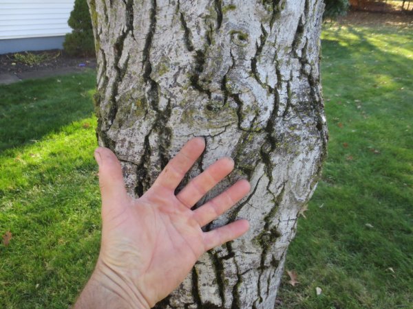 IMG_3444.JPG