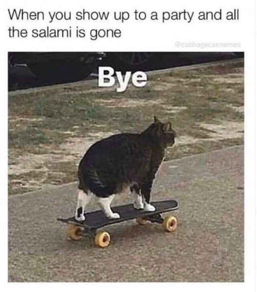 idSuuze.jpg