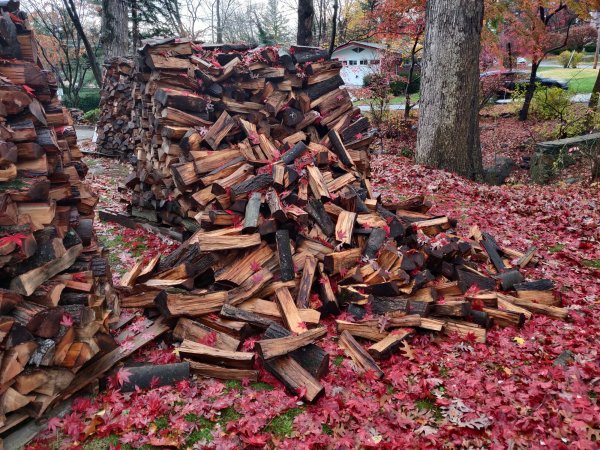 2020-11-13 14.56.47.jpg