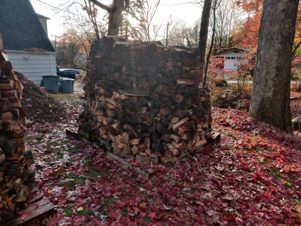 2020-11-13 15.38.42.jpg