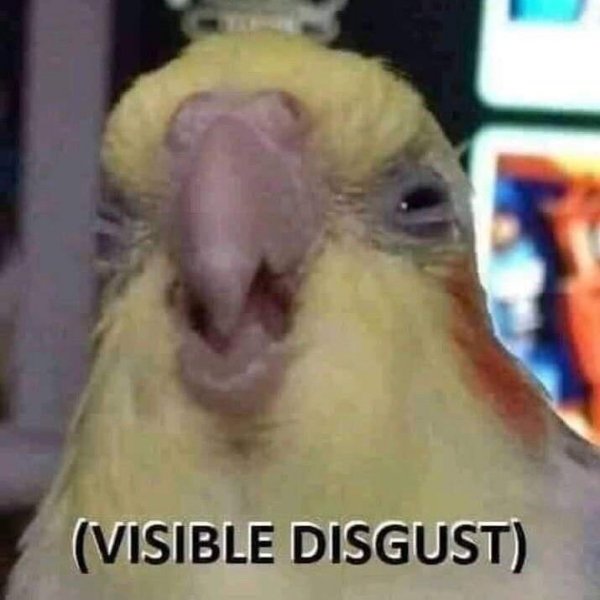 tbFPYML.jpg