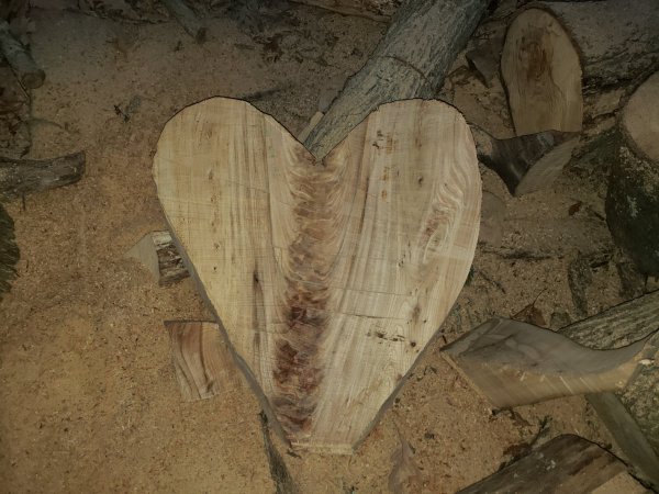 20201114_170252.jpg