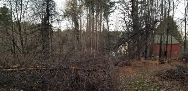 20201116_065030.jpg