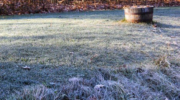 Frost on Lawn.jpg