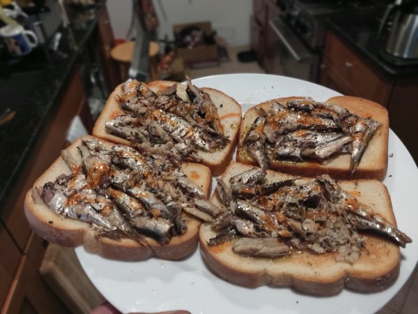 2020-11-20 08.08.36.jpg