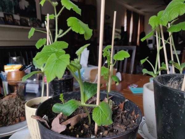 2020-11-23 11.11.20.jpg