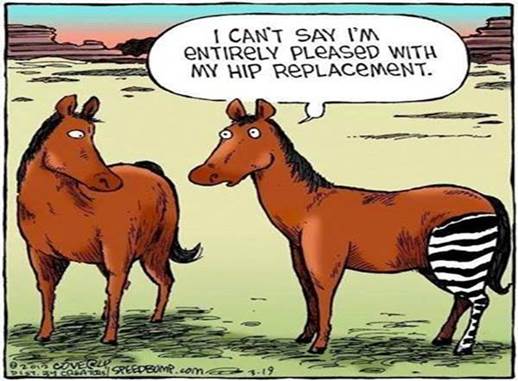 Hip replacement.jpg