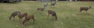20201126_154259.jpg