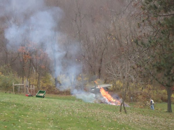 Cutting Apple Trees 110615 001.JPG
