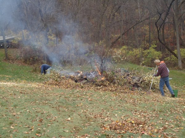 Cutting Apple Trees 110615 036.JPG