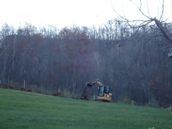 Stump removal 110915 002.JPG