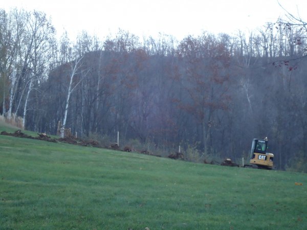 Stump removal 110915 003.JPG
