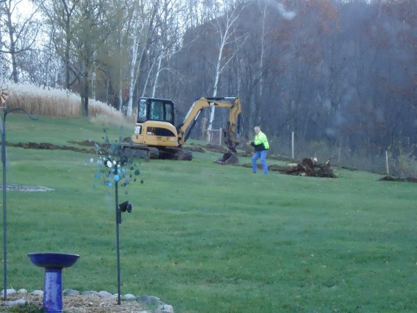Stump removal 110915 004.JPG