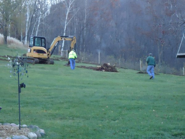 Stump removal 110915 005.JPG