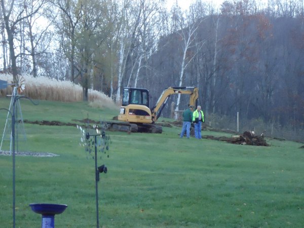 Stump removal 110915 006.JPG