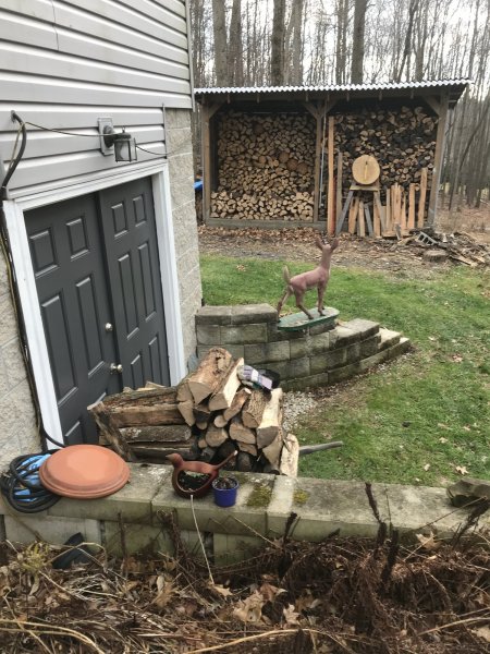Wheelbarrow at Basement door.JPG