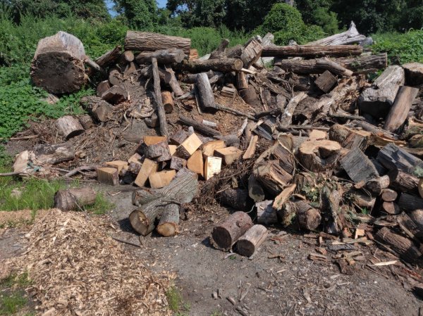 2020-08-11 10.40.57.jpg