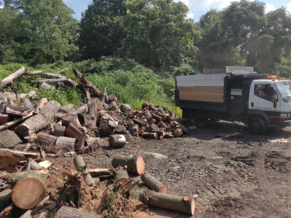 2020-08-11 10.41.00.jpg