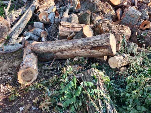 2020-10-05 08.50.59.jpg