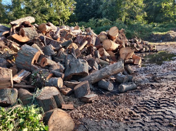 2020-10-05 08.51.04.jpg