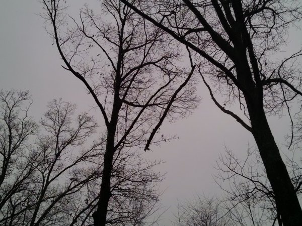 IMG_20201201_080225027.jpg