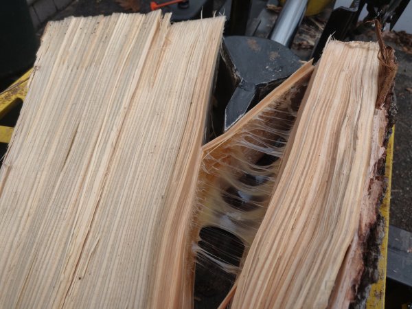 2020-12-01 13.36.21.jpg