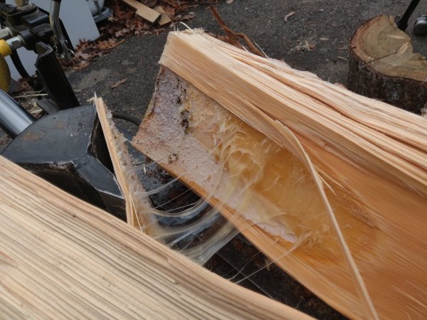 2020-12-01 13.36.44.jpg