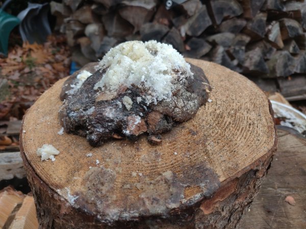 2020-12-01 15.13.58.jpg