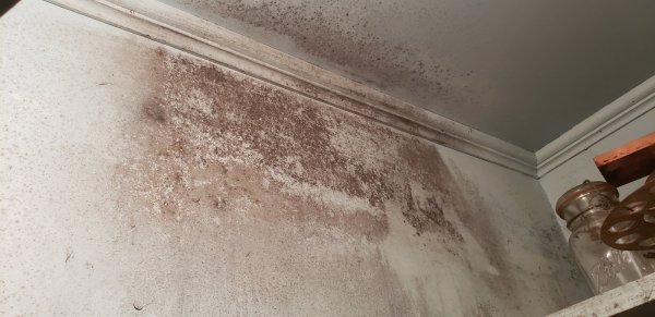 a c vent den behind it.jpg