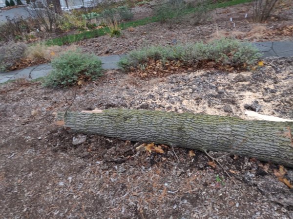 2020-12-02 14.37.34.jpg