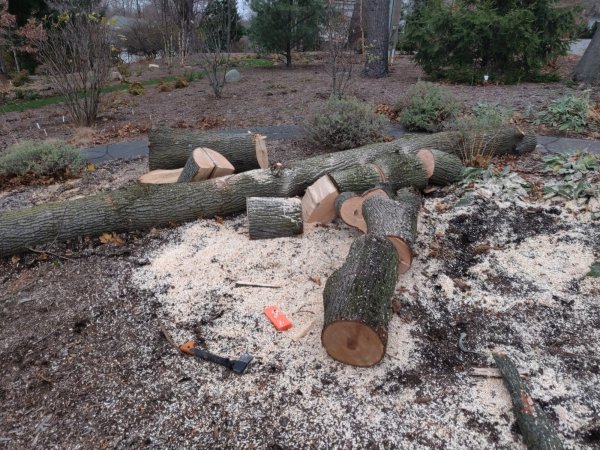 2020-12-02 15.05.25.jpg