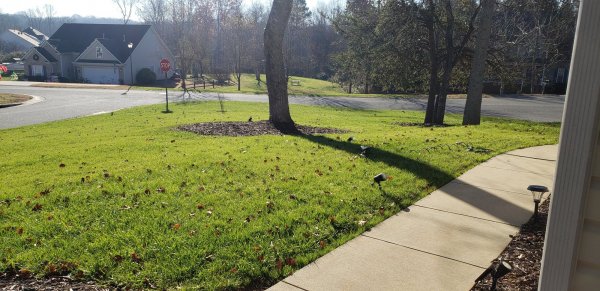 20201210_093845.jpg