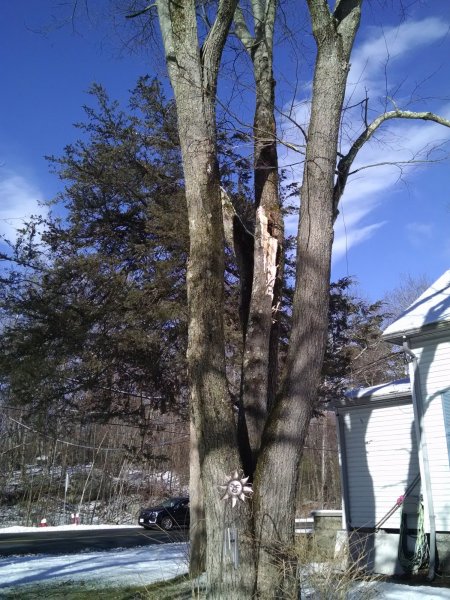 IMG_20201206_110102054.jpg