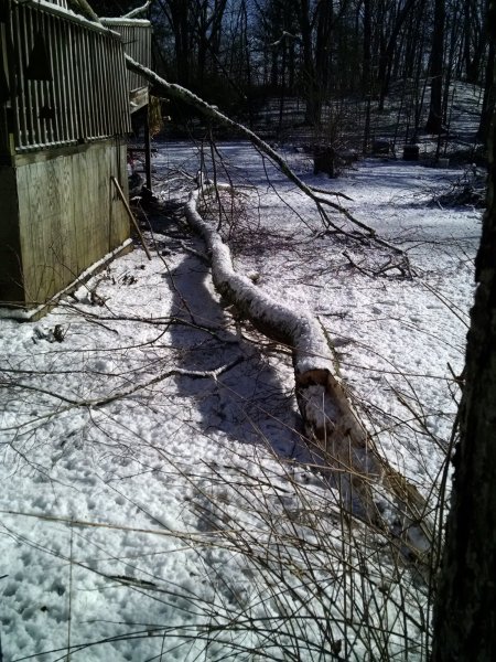 IMG_20201206_110126848.jpg
