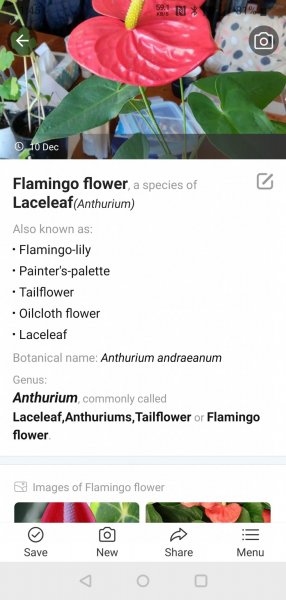 2020-12-10 13.45.40.jpg