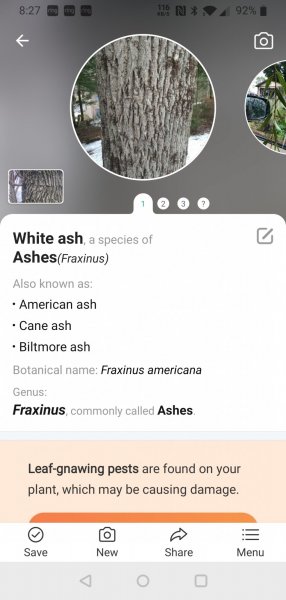 2020-12-11 08.27.52.jpg