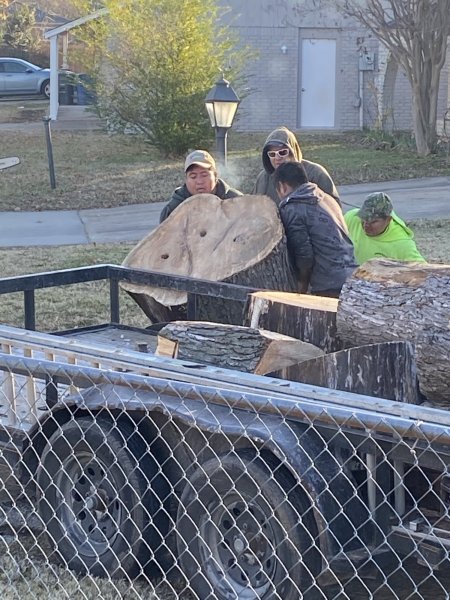 Barboza Tree removal 12102020 (6).jpeg