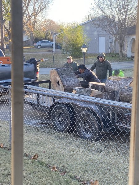 Barboza Tree removal 12102020 (7).jpeg
