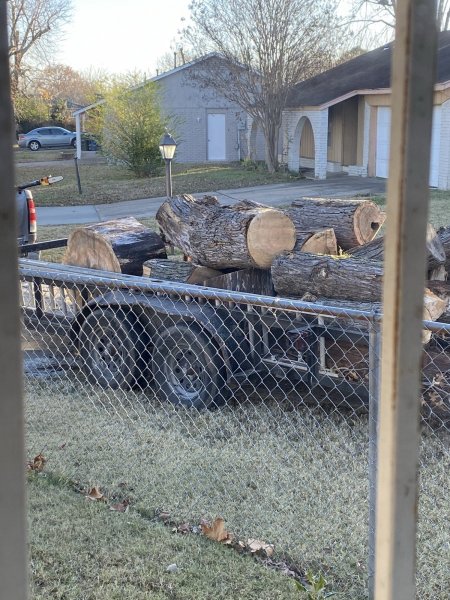 Barboza Tree removal 12102020 (9).jpeg