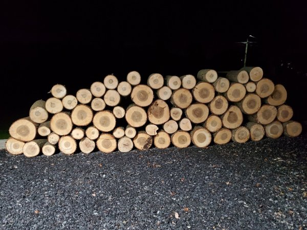 20201212_205347.jpg