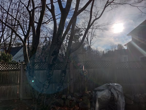 2020-12-13 13.58.06.jpg