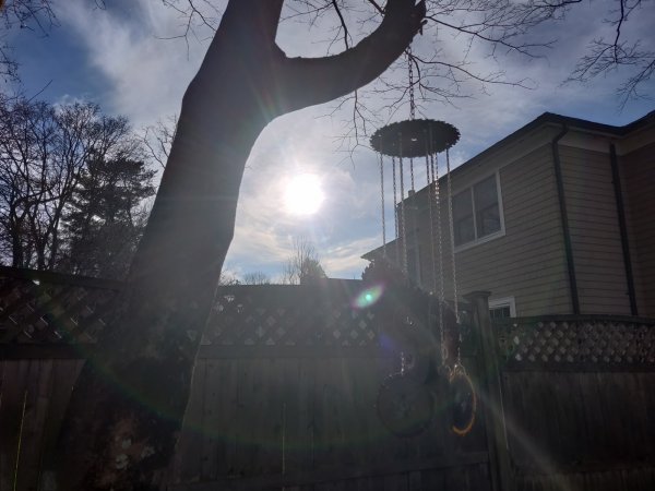 2020-12-13 13.58.16.jpg