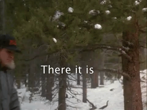 tenor (2) (1).gif