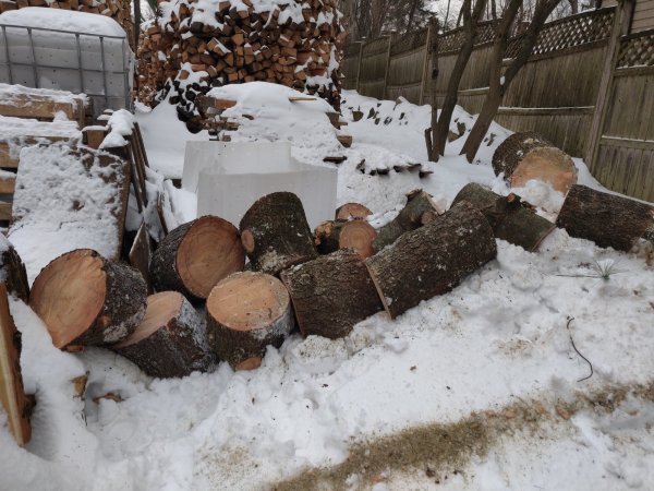 2020-12-20 10.27.12.jpg