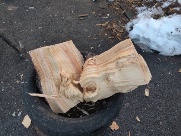 2020-12-21 12.37.50.jpg