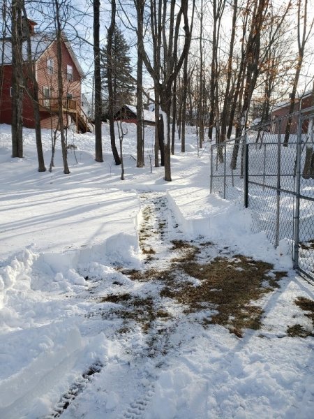 20-25 ft of fence line cleared.jpg