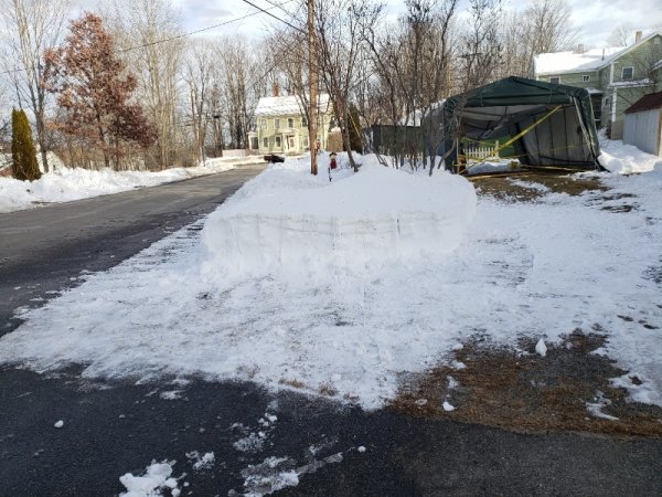 7-10 feet cleared at driveway.jpg