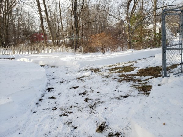 Fence corner where paths meet widened.jpg